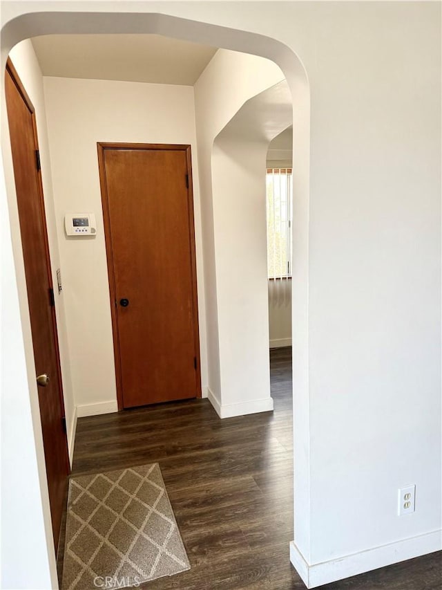 hallway featuring dark wood-type flooring