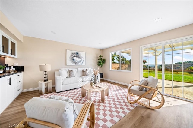 living room with light hardwood / wood-style floors