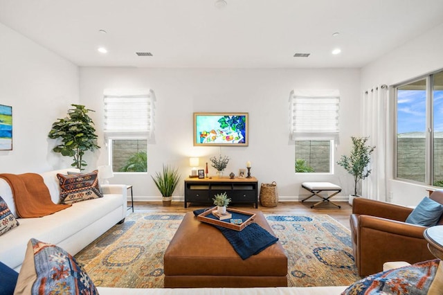 living room featuring hardwood / wood-style flooring