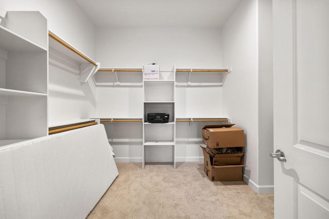 spacious closet with light carpet