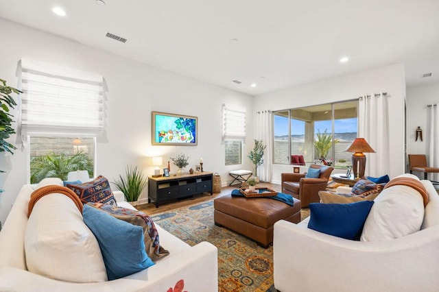 living room featuring hardwood / wood-style floors