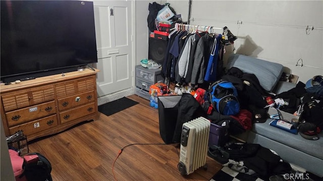 walk in closet with wood-type flooring