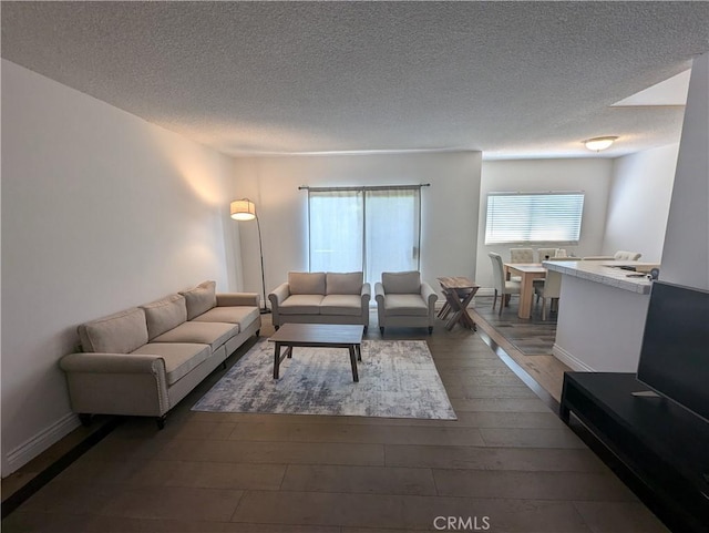 living room with a textured ceiling and dark hardwood / wood-style floors