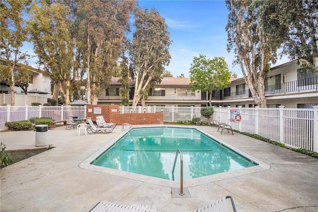 view of swimming pool featuring a patio area