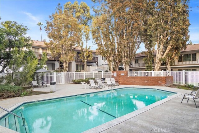 view of swimming pool with a patio area