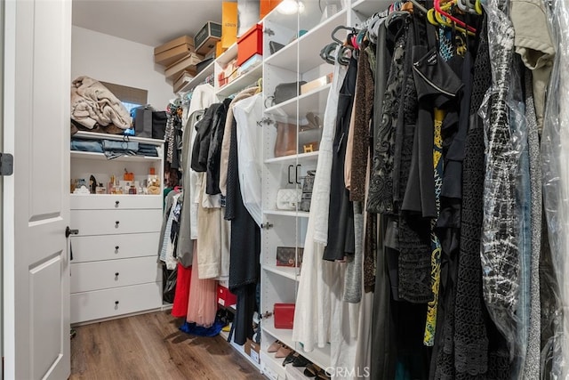 walk in closet with wood-type flooring