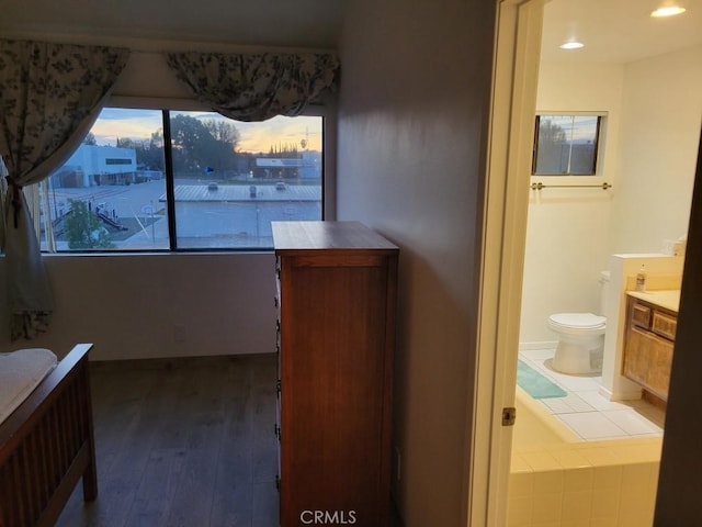 bathroom featuring hardwood / wood-style flooring, vanity, and toilet