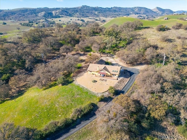 drone / aerial view featuring a mountain view