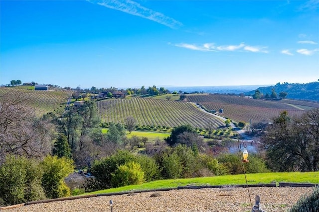 birds eye view of property featuring a rural view