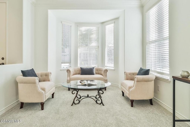 living area with carpet and a wealth of natural light