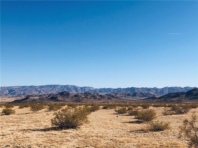 46 Desert Lily St, Joshua Tree CA, 92252 land for sale