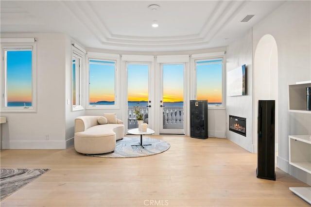 sitting room featuring light hardwood / wood-style floors, plenty of natural light, a large fireplace, and a tray ceiling