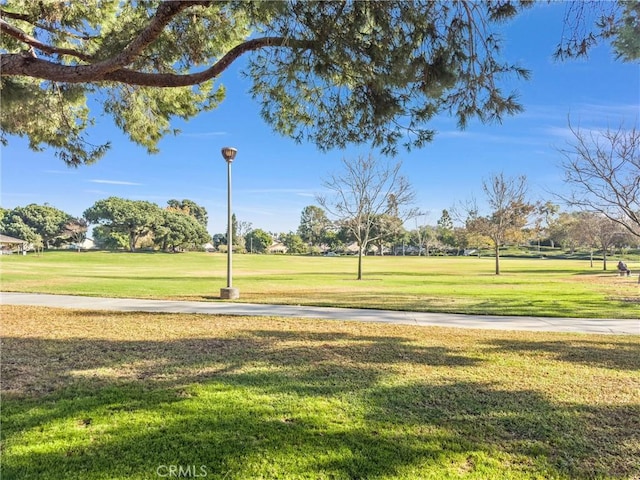 view of community featuring a lawn