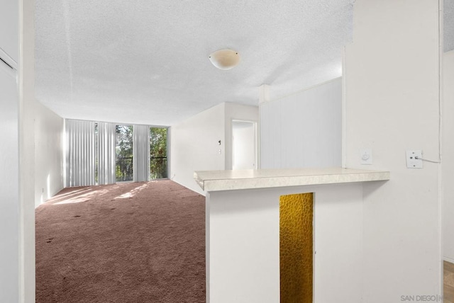 unfurnished living room with carpet floors, a wall of windows, and a textured ceiling