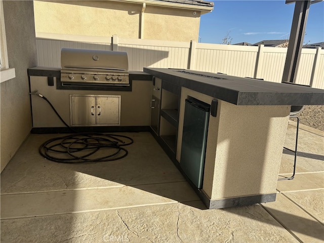 view of patio / terrace with a grill and an outdoor kitchen