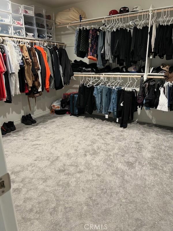 walk in closet featuring carpet