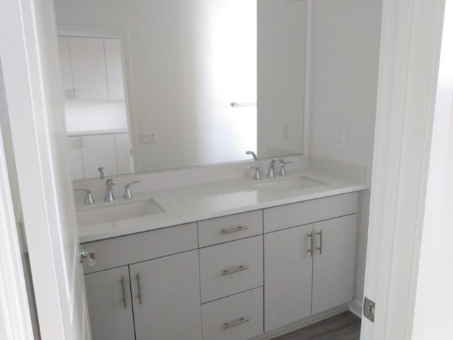 bathroom with wood-type flooring and vanity