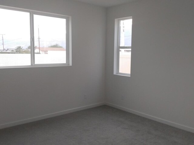 empty room featuring carpet