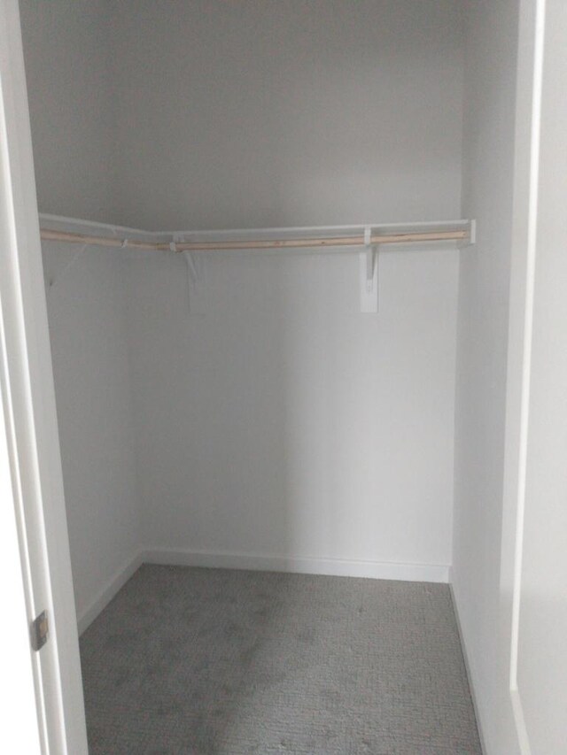 spacious closet with carpet flooring