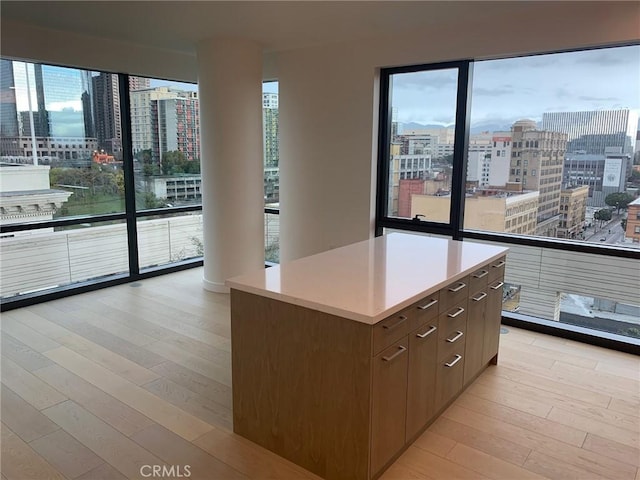 kitchen with light hardwood / wood-style floors and a center island