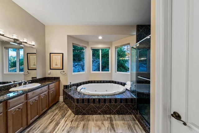 bathroom featuring a whirlpool tub, a healthy amount of sunlight, a shower stall, and vanity