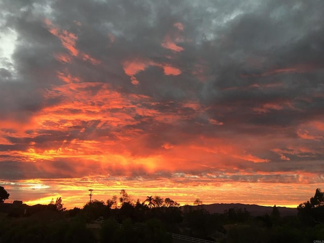 view of nature at dusk