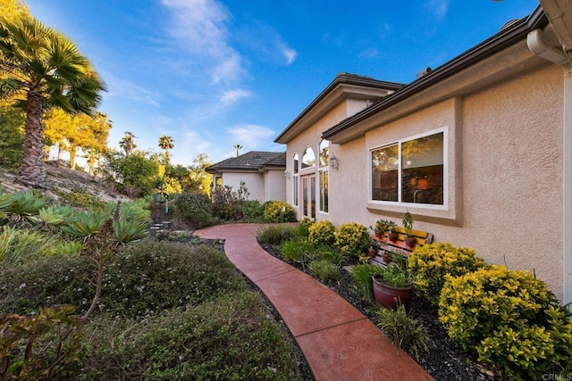 246 Yucca, Fallbrook, CA 92028 - view of yard