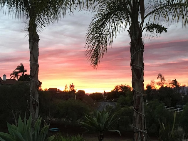 246 Yucca, Fallbrook, CA 92028 - view of nature at dusk
