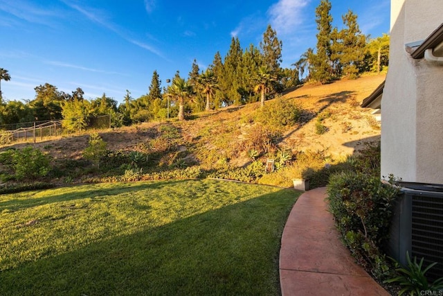 246 Yucca, Fallbrook, CA 92028 - view of yard with central AC