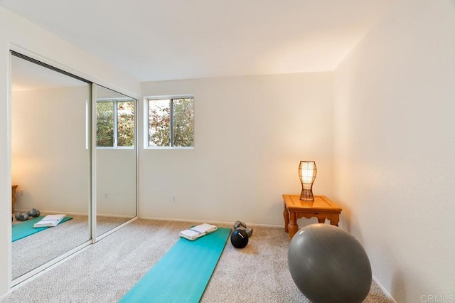 workout room featuring carpet