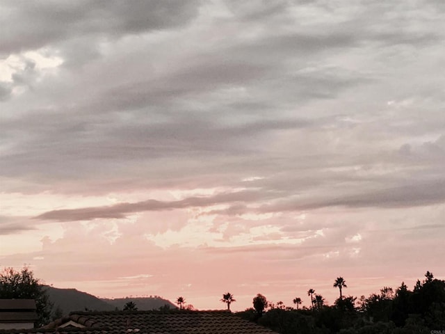 view of nature at dusk