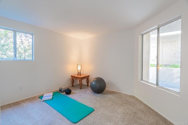 exercise room with carpet flooring