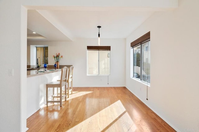 dining room with light wood-type flooring