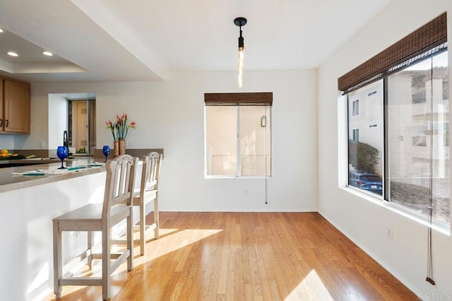 dining room with plenty of natural light, a tray ceiling, and light hardwood / wood-style floors