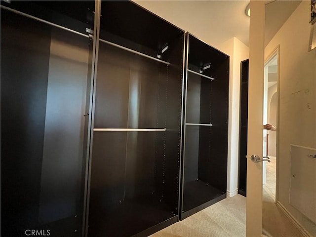 spacious closet featuring carpet floors