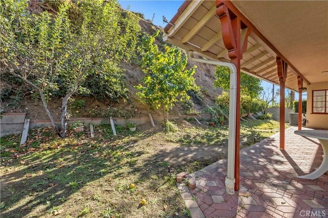 view of yard featuring a patio area