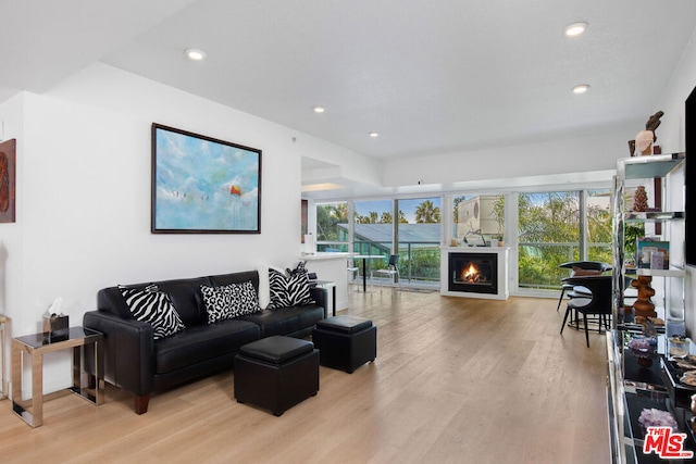 living room featuring hardwood / wood-style flooring