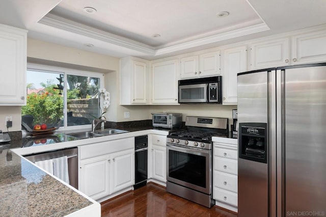 kitchen featuring sink, white cabinetry, a raised ceiling, and stainless steel appliances