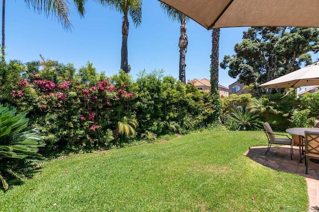 view of yard featuring a patio