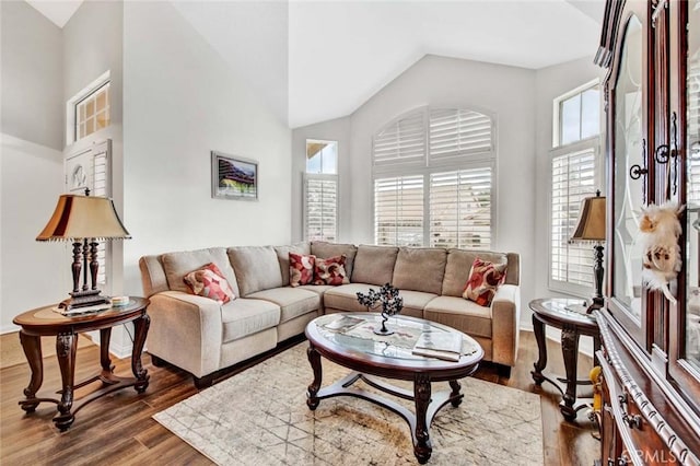 living room featuring dark hardwood / wood-style flooring and lofted ceiling