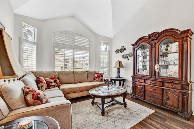 living room featuring lofted ceiling, dark wood-type flooring, and plenty of natural light