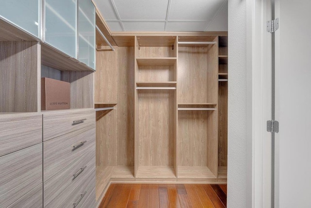 walk in closet with hardwood / wood-style floors