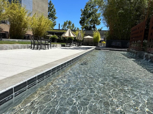 view of swimming pool featuring a patio area