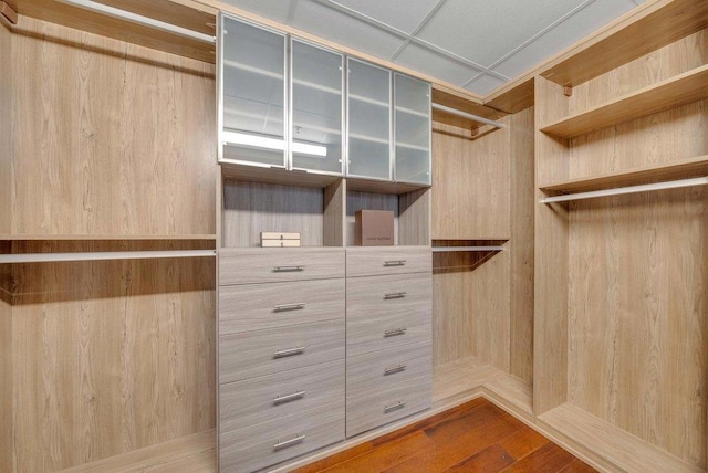 walk in closet with wood-type flooring