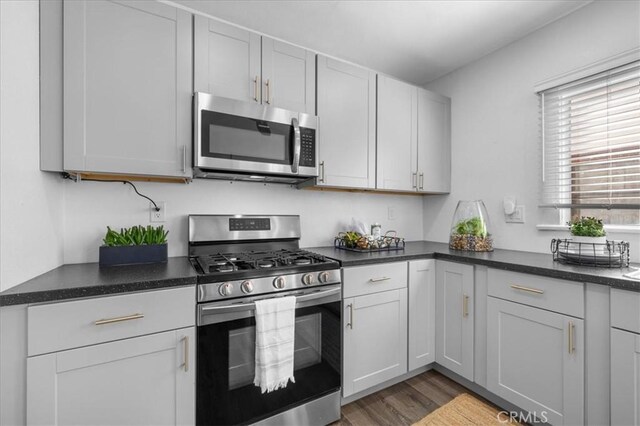 kitchen featuring wood-type flooring and appliances with stainless steel finishes