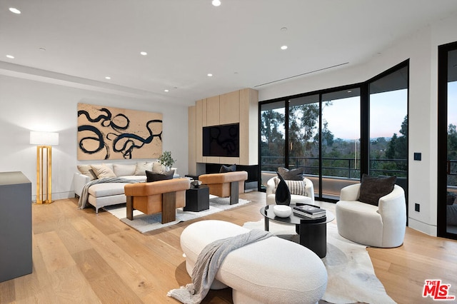 living room featuring light wood-type flooring