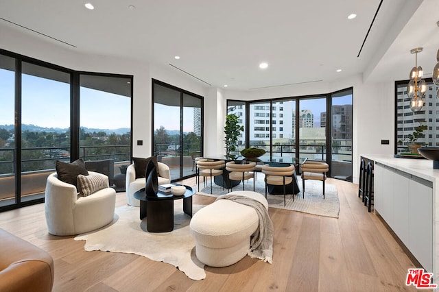 living room featuring light wood-type flooring, a wealth of natural light, and floor to ceiling windows