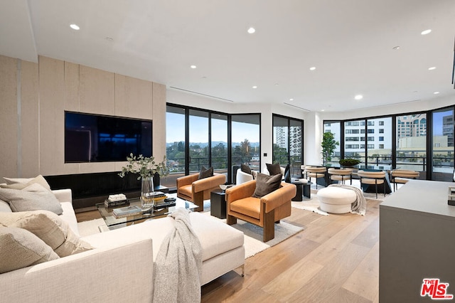 living room featuring light hardwood / wood-style floors