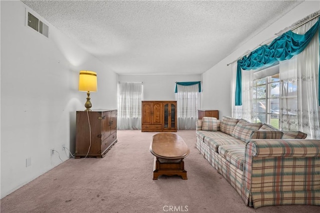 carpeted living room with a textured ceiling