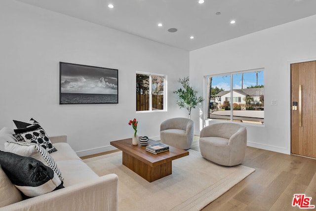 living room with light hardwood / wood-style flooring